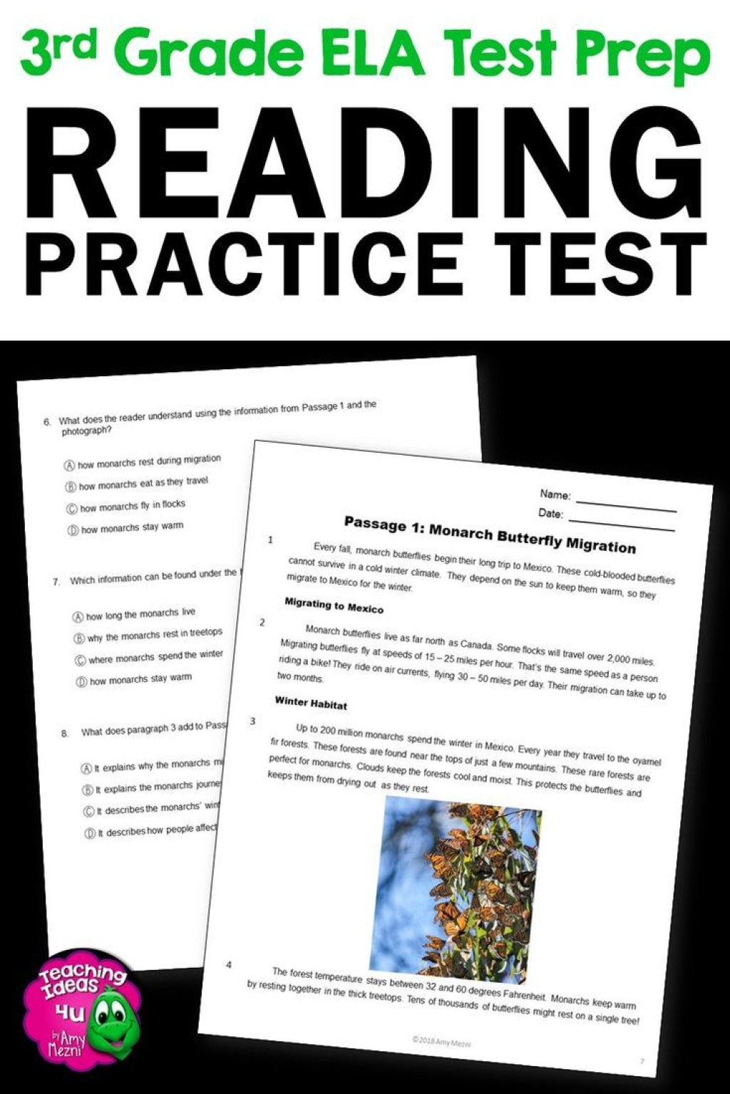 Picture of: rd Grade READING Practice Test Fiction, Nonfiction, Grammar ELA